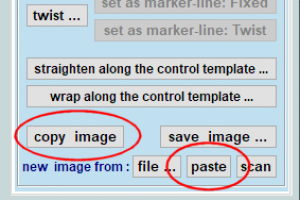 shape_copy_paste.png