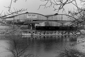 walsh_graham_timber_1960s.jpg | Templot Club